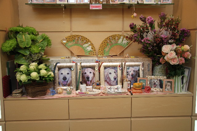 ファイル 2714-5.jpg