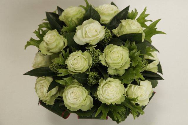 ファイル 2715-2.jpg