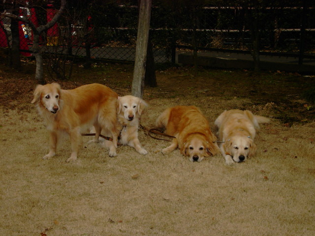 ファイル 2715-4.jpg