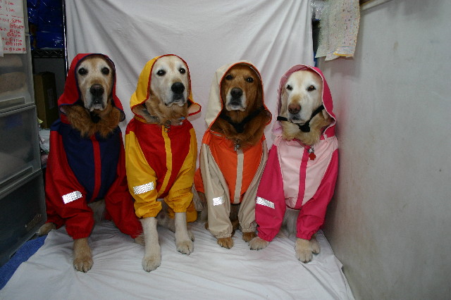 ファイル 2715-5.jpg