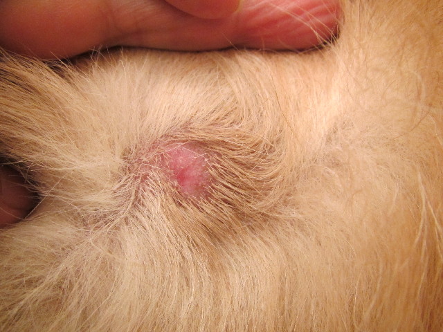 ファイル 2716-3.jpg