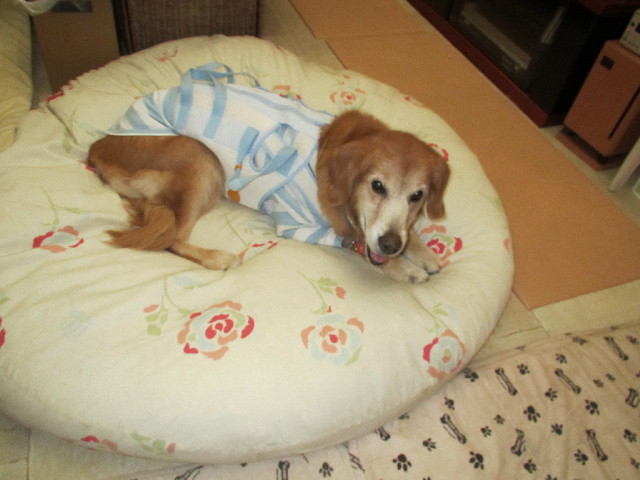 ファイル 2716-5.jpg