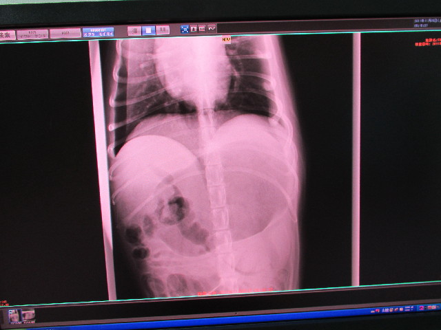 ファイル 2719-2.jpg