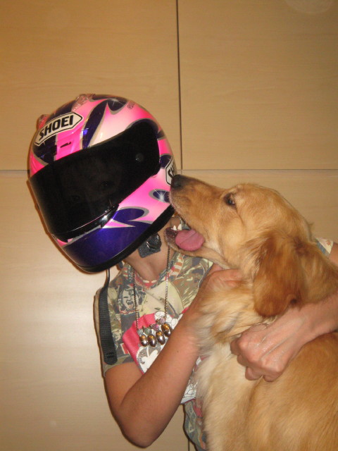 ファイル 272-3.jpg