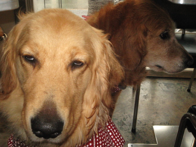 ファイル 272-4.jpg