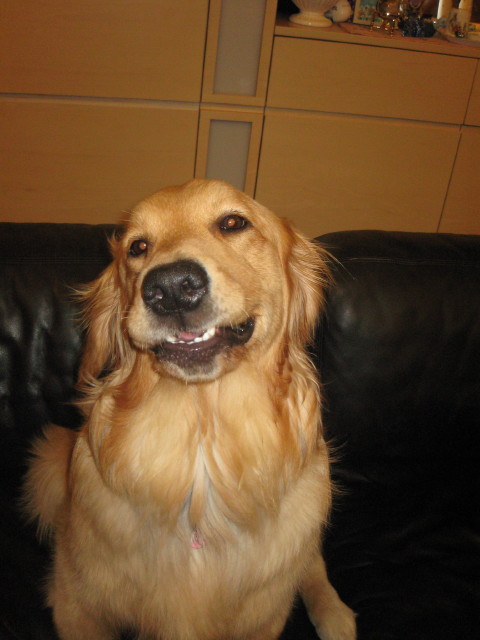 ファイル 272-5.jpg