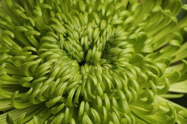 ファイル 2721-3.jpg