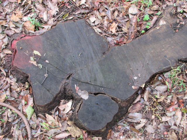 ファイル 2724-4.jpg