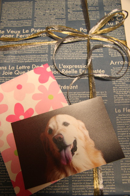 ファイル 2727-1.jpg