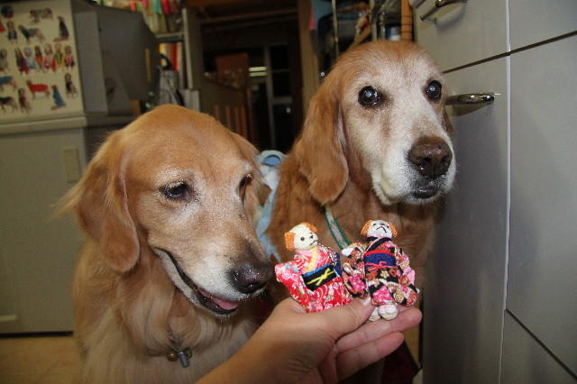 ファイル 2728-2.jpg