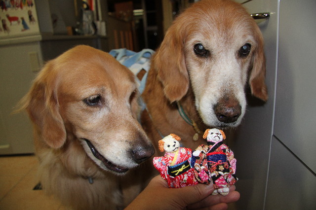 ファイル 2728-3.jpg