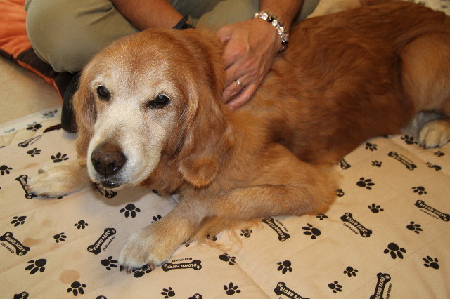 ファイル 2728-4.jpg