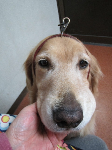 ファイル 2729-3.jpg