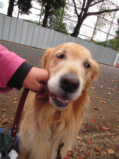 ファイル 2734-5.jpg