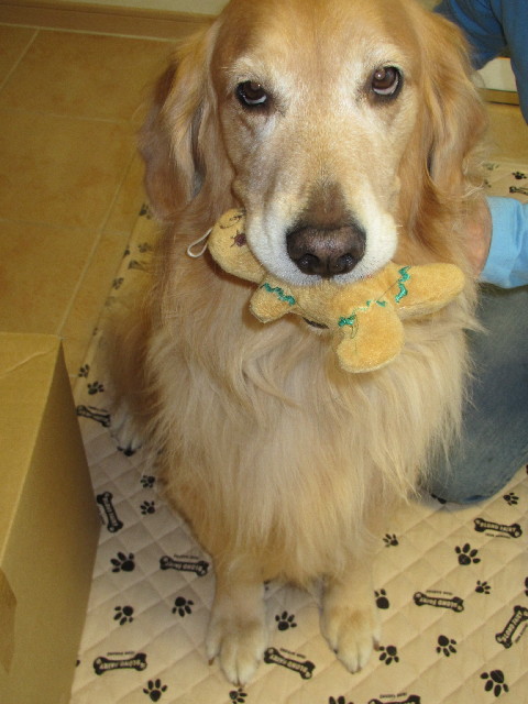 ファイル 2735-4.jpg