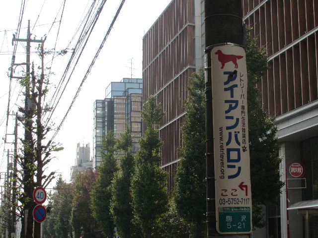 ファイル 2738-3.jpg