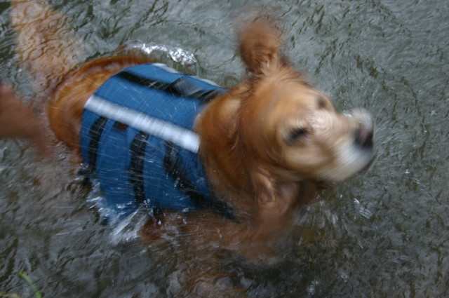 ファイル 274-4.jpg