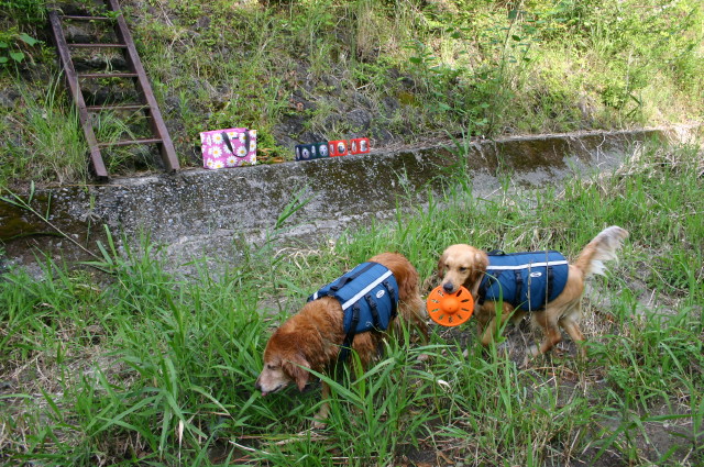 ファイル 274-5.jpg