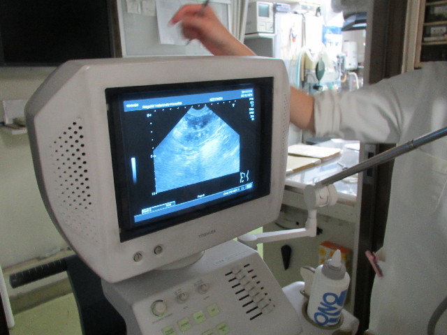 ファイル 2740-1.jpg