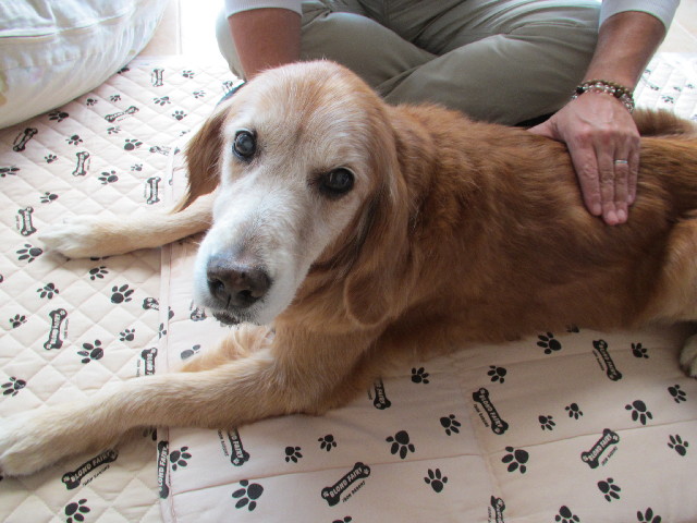 ファイル 2743-4.jpg