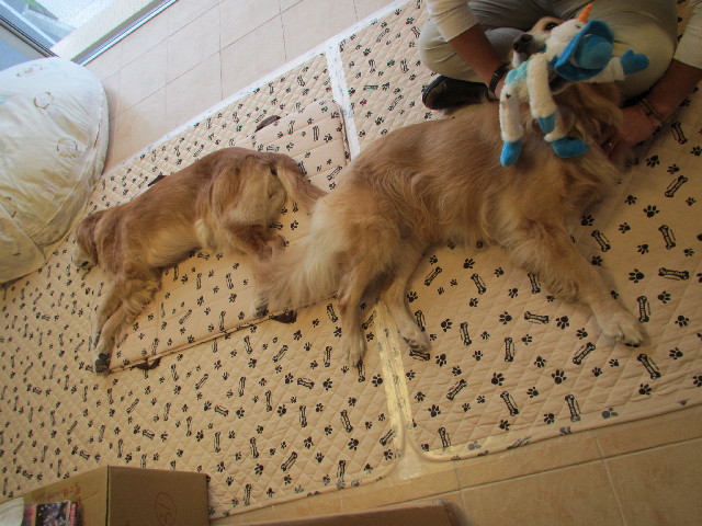 ファイル 2743-5.jpg