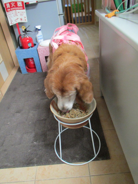 ファイル 2745-5.jpg