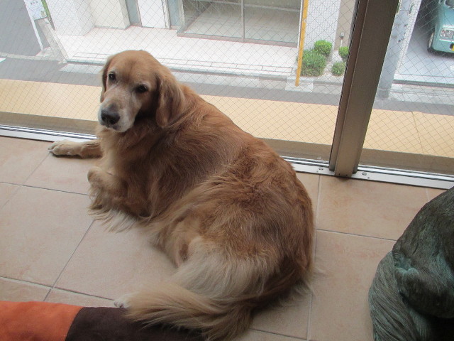 ファイル 2746-2.jpg