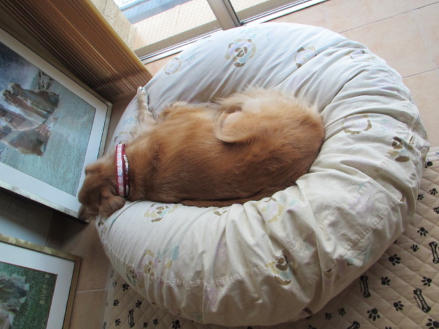 ファイル 2746-3.jpg