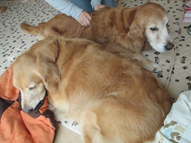 ファイル 2746-5.jpg