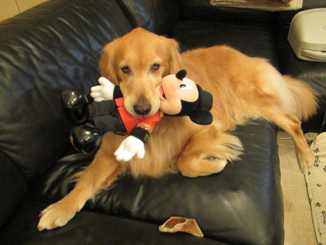 ファイル 2748-3.jpg