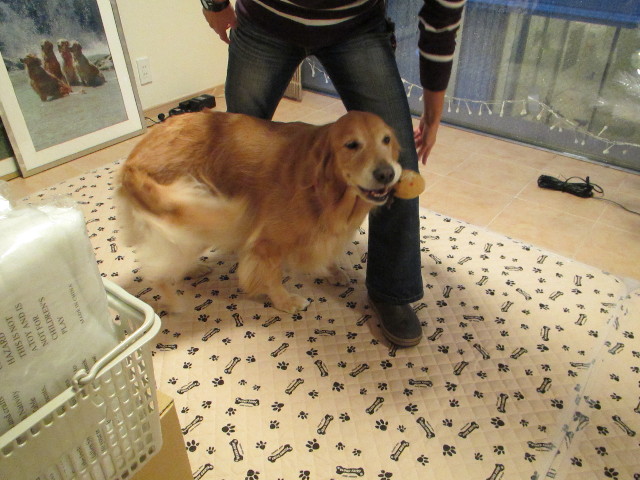 ファイル 2748-4.jpg