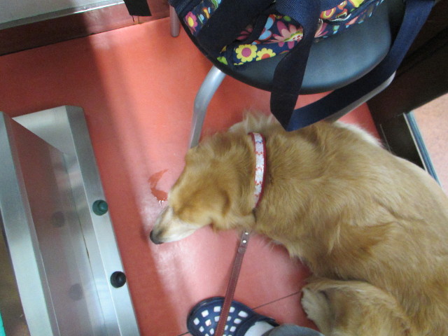 ファイル 2749-4.jpg