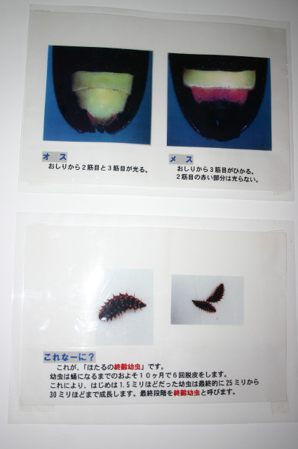 ファイル 275-4.jpg