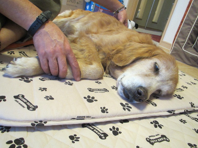 ファイル 2750-4.jpg