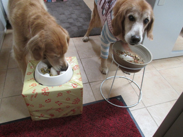 ファイル 2750-5.jpg