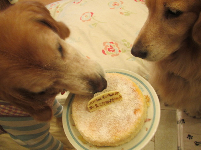 ファイル 2751-4.jpg