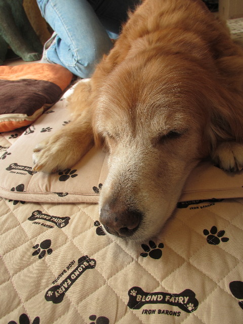 ファイル 2754-5.jpg