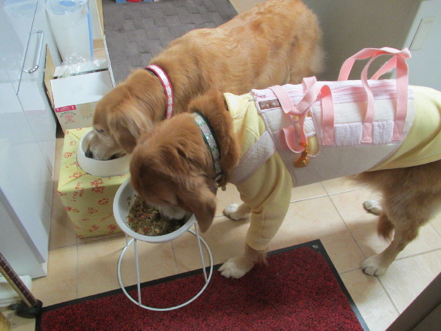 ファイル 2755-4.jpg