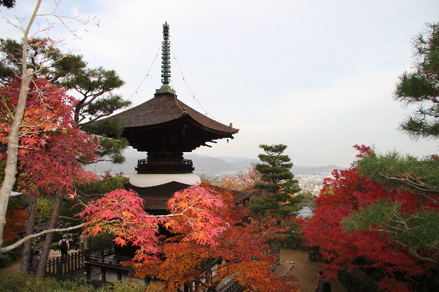 ファイル 2758-1.jpg