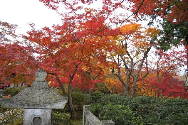 ファイル 2758-3.jpg