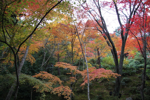 ファイル 2758-4.jpg