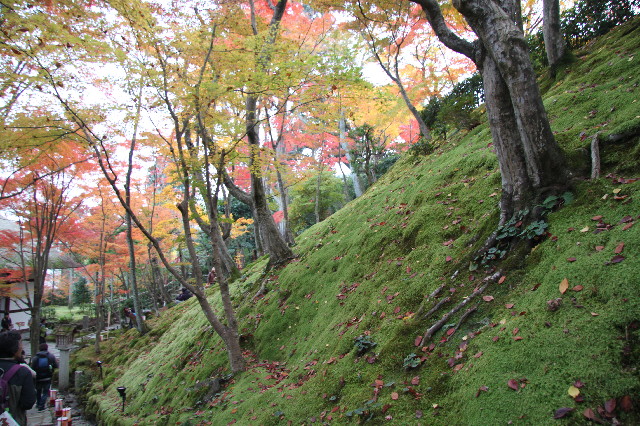 ファイル 2758-5.jpg