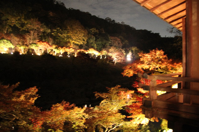 ファイル 2761-1.jpg