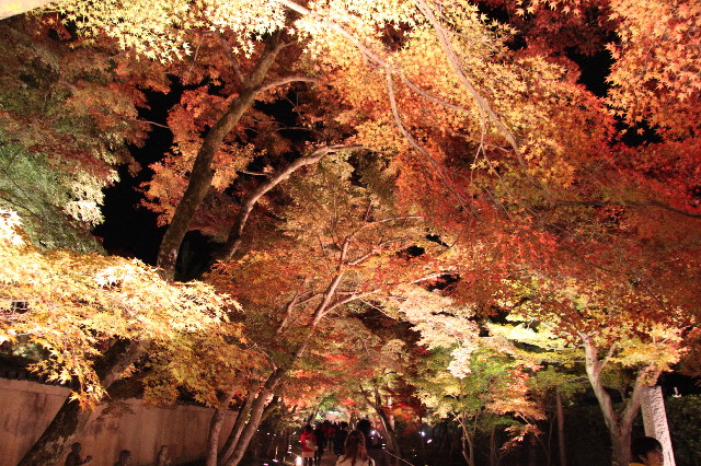 ファイル 2763-1.jpg