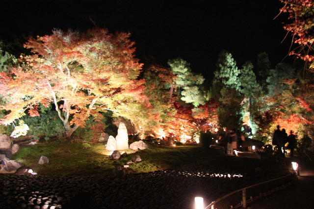 ファイル 2763-2.jpg