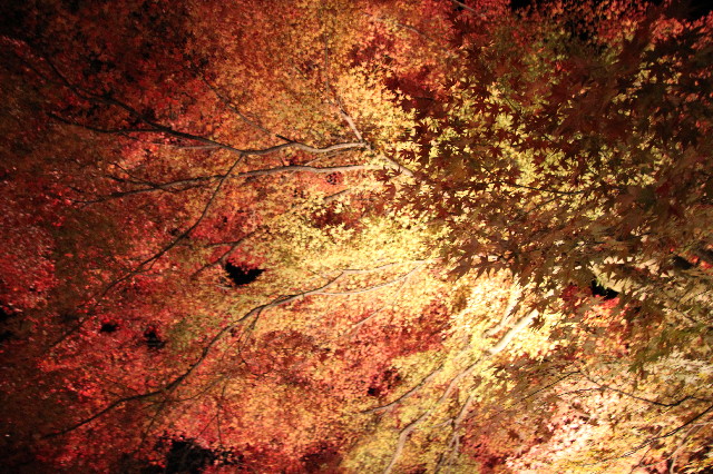 ファイル 2763-5.jpg