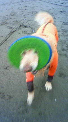 ファイル 2766-3.jpg