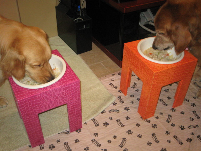 ファイル 277-5.jpg