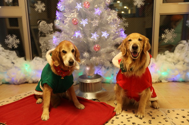 ファイル 2770-5.jpg