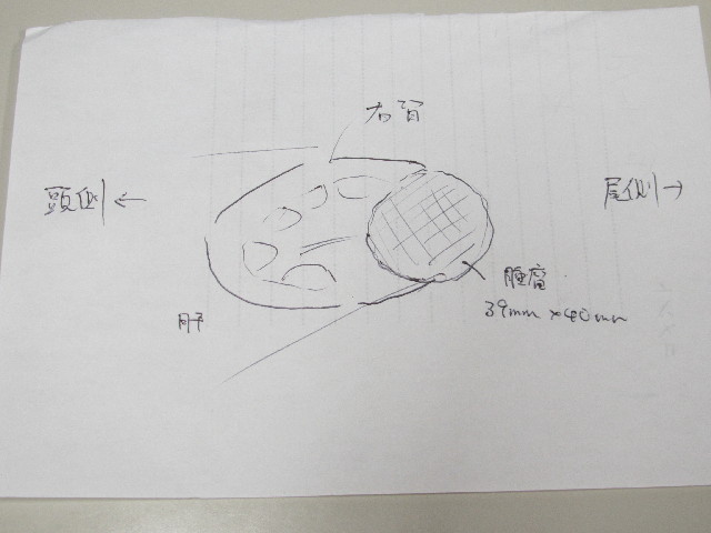 ファイル 2772-2.jpg